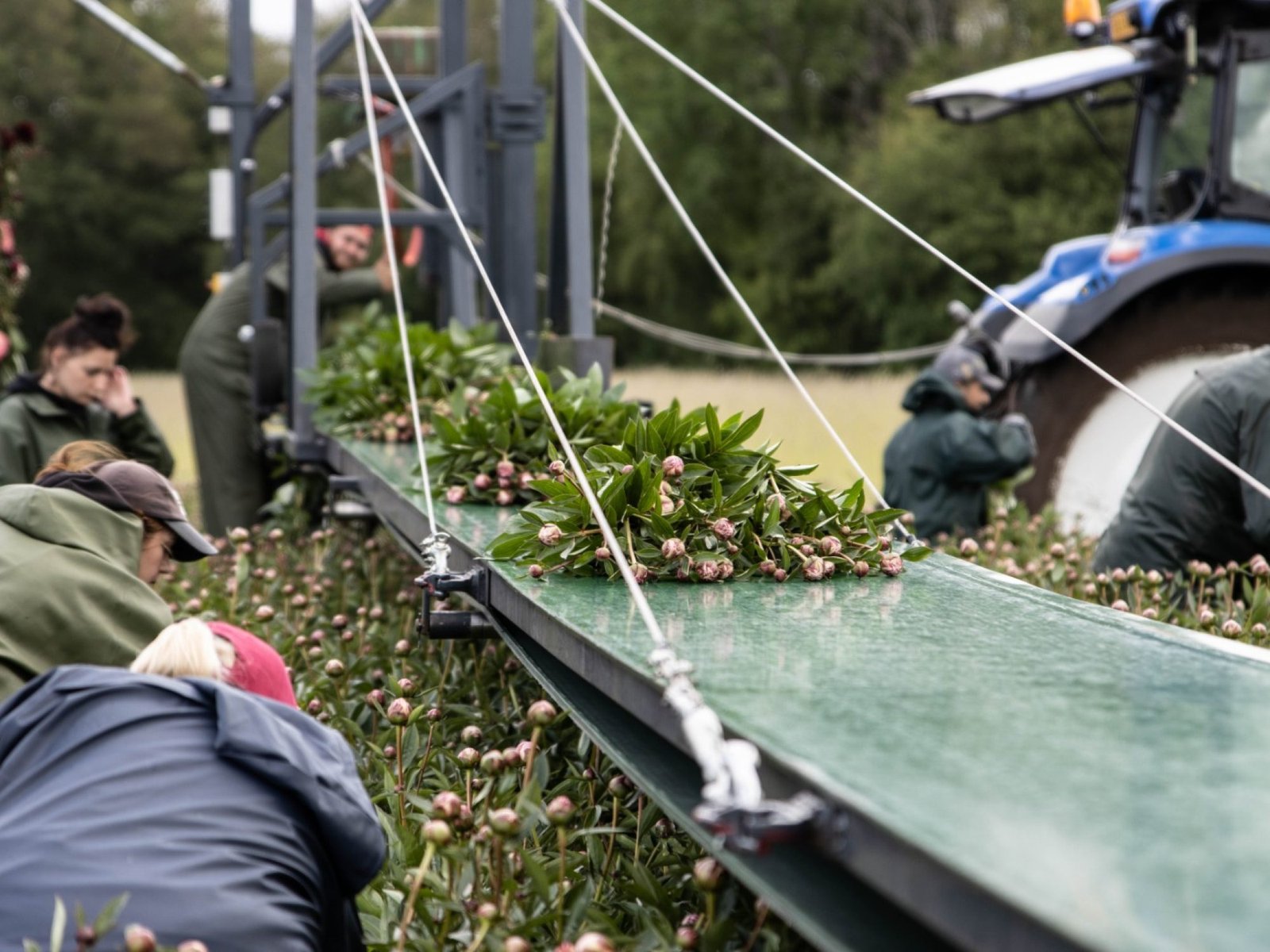 WhatsApp_Image_2022-05-28_at_5.46.03_PM_1